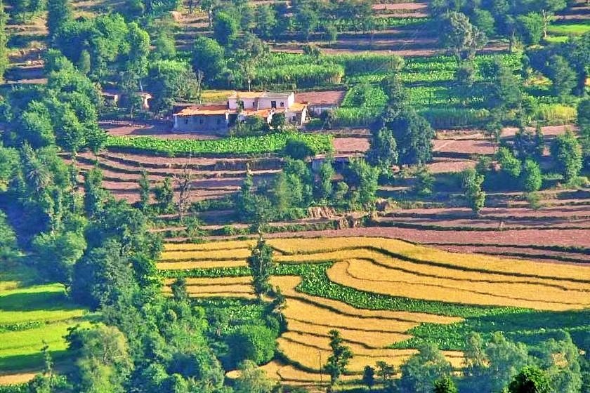 Natural farming in Lahaul Spiti, Kullu Natural Farming