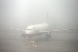 Dense fog spurs travel woes in Delhi, around 30 flights and trains delayed