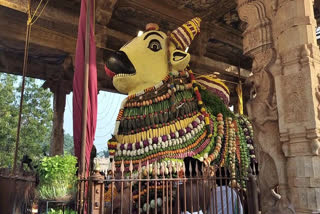 thanjavur big temple nandi