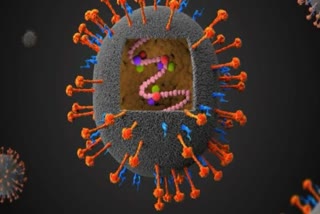 Nipah Virus Vaccine