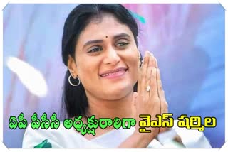 Congress Declared AP PCC Chief YS Sharmila