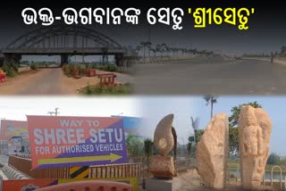 First trumpet bridge of Odisha Shree Setu