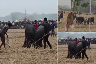 Traditional Moh Juj held in  Morigaon