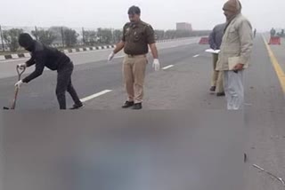 crime-news-vehicles-kept-trampling-dead-body-agra-lucknow-expressway-throughout-night-fragments-spread-up-half-km-police-collected-with-shovel
