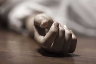 Dead Body Found  Accident Death In Lucknow  ആഗ്ര ലഖ്‌നൗ എക്‌സ്‌പ്രസ്‌വേ  ആഗ്രയിലെ അപകടം