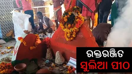 ଆଦିବାସୀ ପାଳୁଛି ସୁଲିଆ ଯାତ୍ରା, ରକ୍ତରଞ୍ଜିତ ହେଲା ପୀଠ