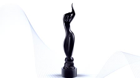 Filmfare Award 2024