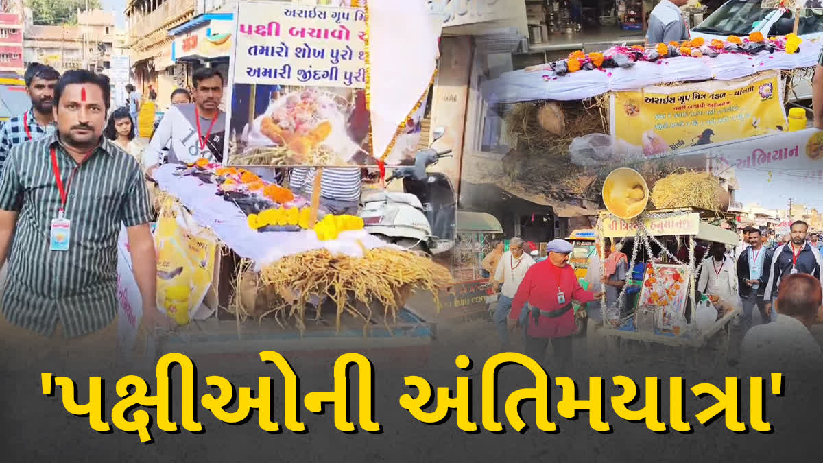 જુઓ વિડીયો: ઉત્તરાયણના પર્વ નિમિત્તે મૃત્યુ પામેલા, પક્ષીઓની સ્મશાન યાત્રા કાઢવામાં આવી