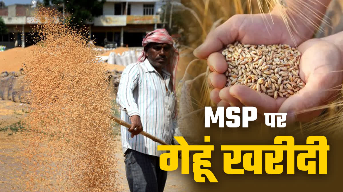 Madhya Pradesh New Wheat MSP Plan