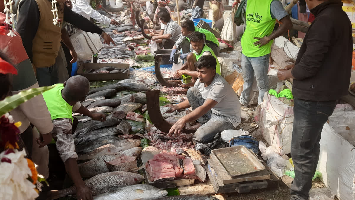 Unique 500-Yr-Old Fish Fair At West Bengal's Debanandapur During Vaishnavites Festival