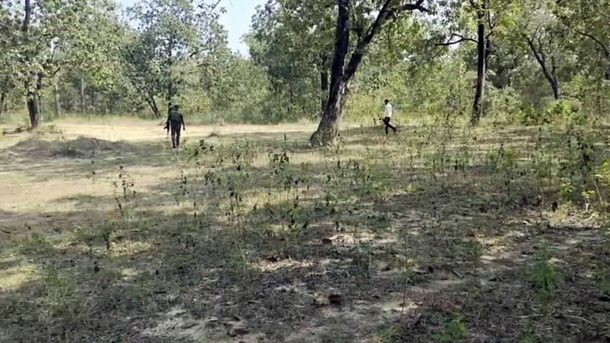 encounter-breaks-out-between-security-forces-and-naxalites-in-chhattisgarhs-bijapur