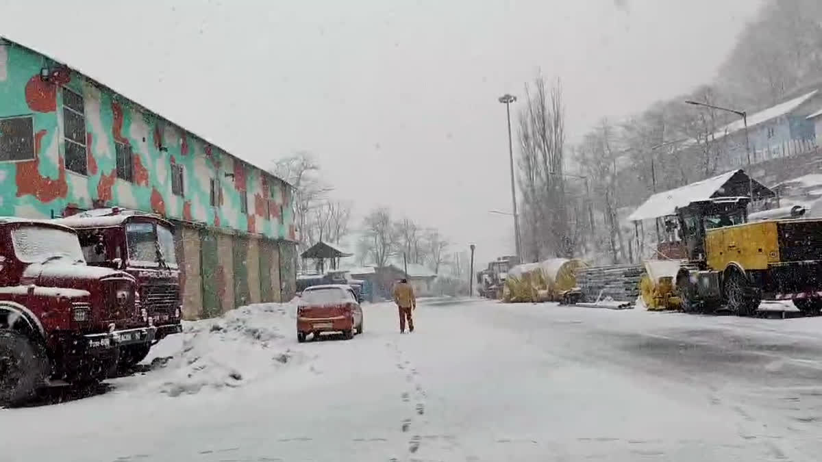 snowfall in kashmir.