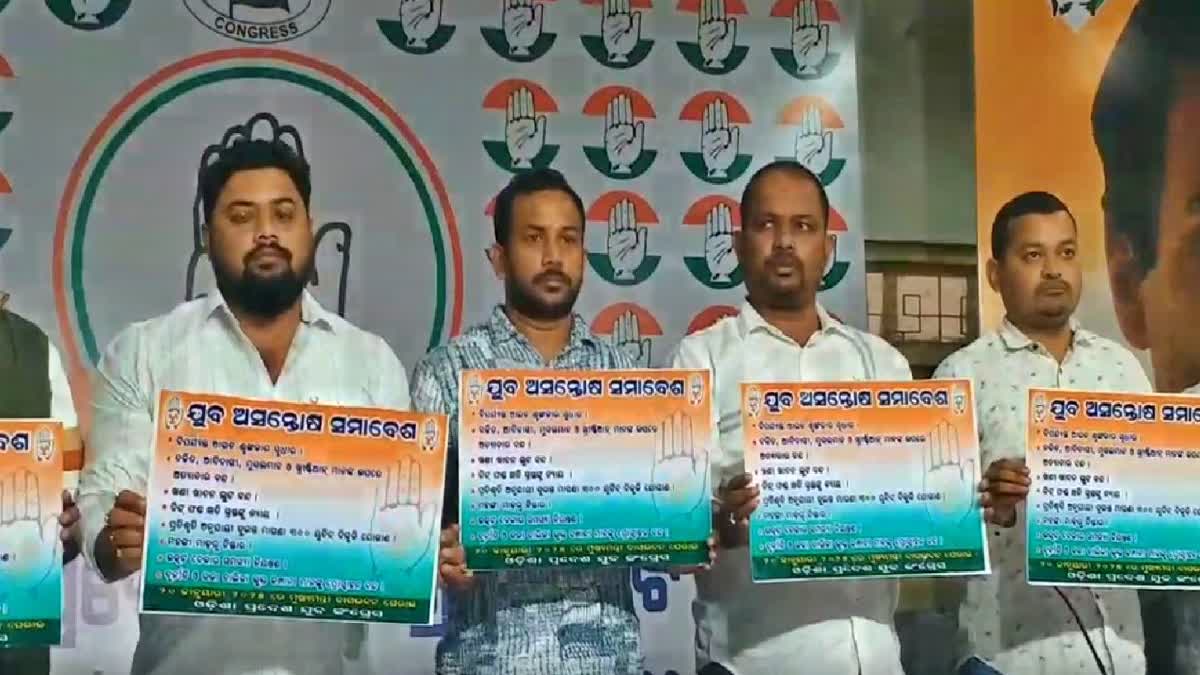 YOUTH CONGRESS PRESS MEET