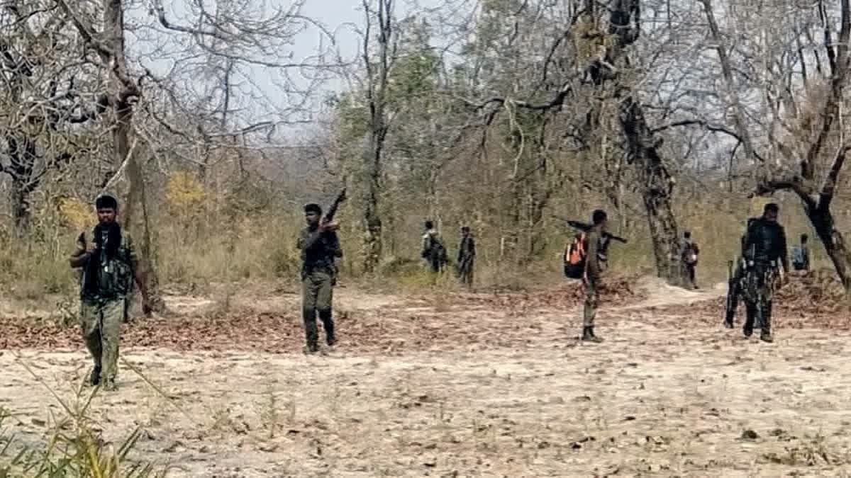 SECURITY FORCES  Bijapur  NAXALITES  encounter