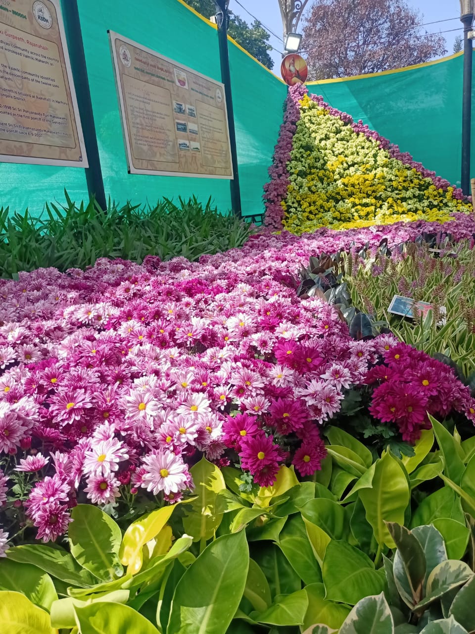 Lalbagh FLOWER SHOW