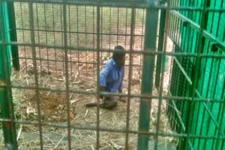 man-trapped-in-leopard-cage-at-chamarajanagar