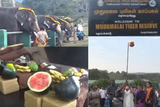 முதுமலை யானை பொங்கல்