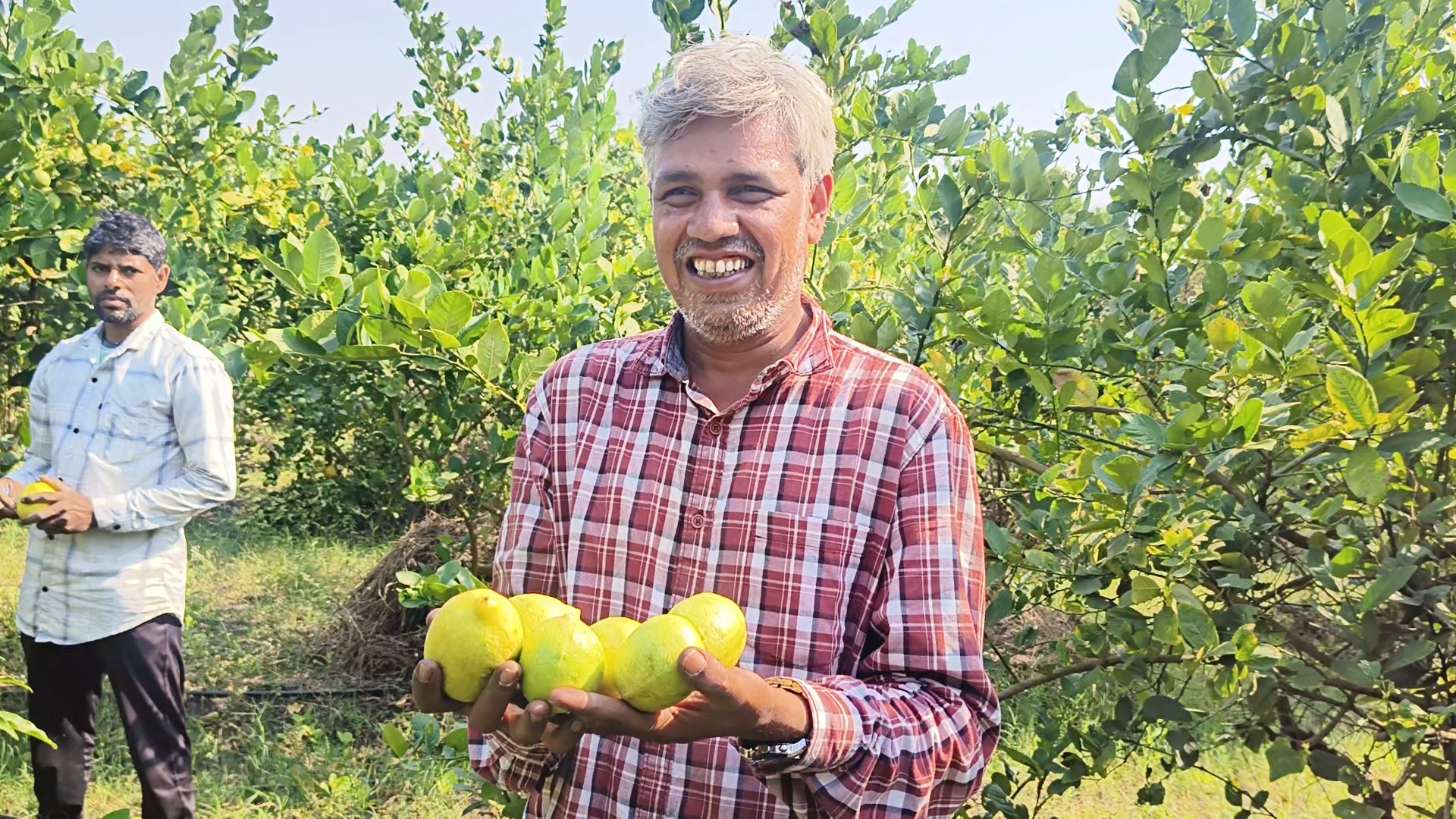 તાપીના શિક્ષિત ખેડૂતે કરી સફળ ખેતી