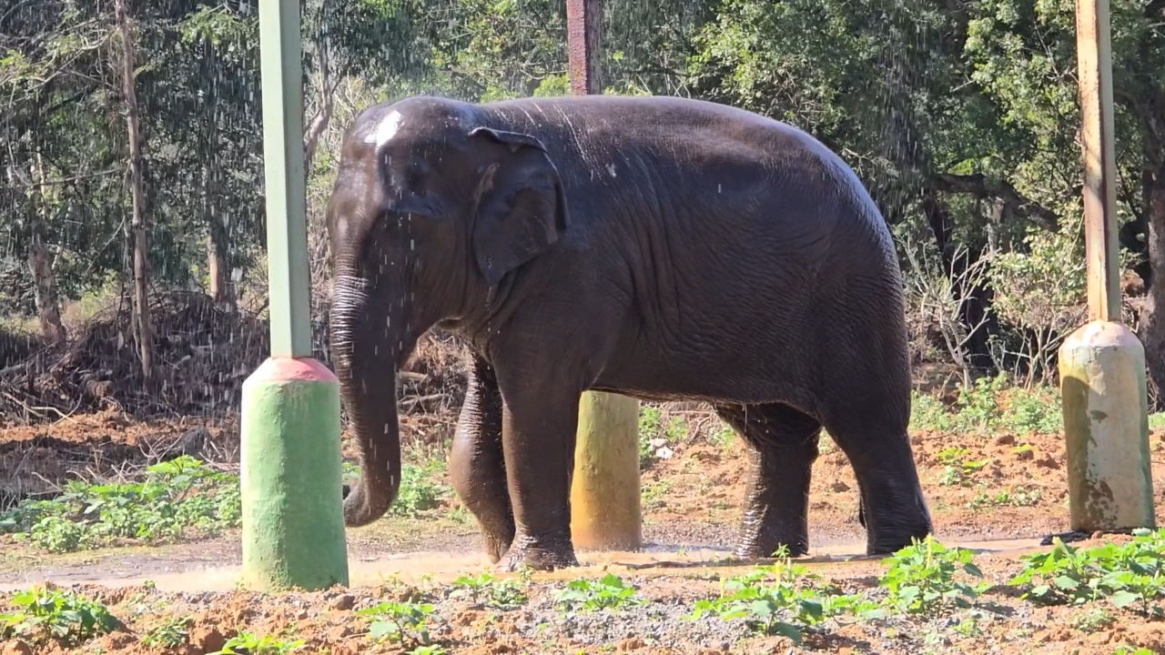 வண்டலூர் உயிரியியல் பூங்கா