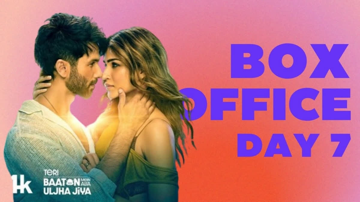 TBMAUJ Box Office Day 7: Shahid- Kriti's Film Witnesses Dip as Valentine's Offer Ends