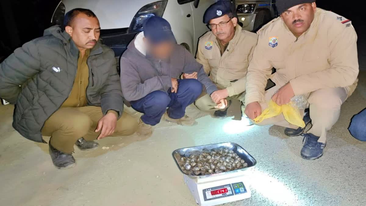 Solan Man Arrested with Charas in Kullu