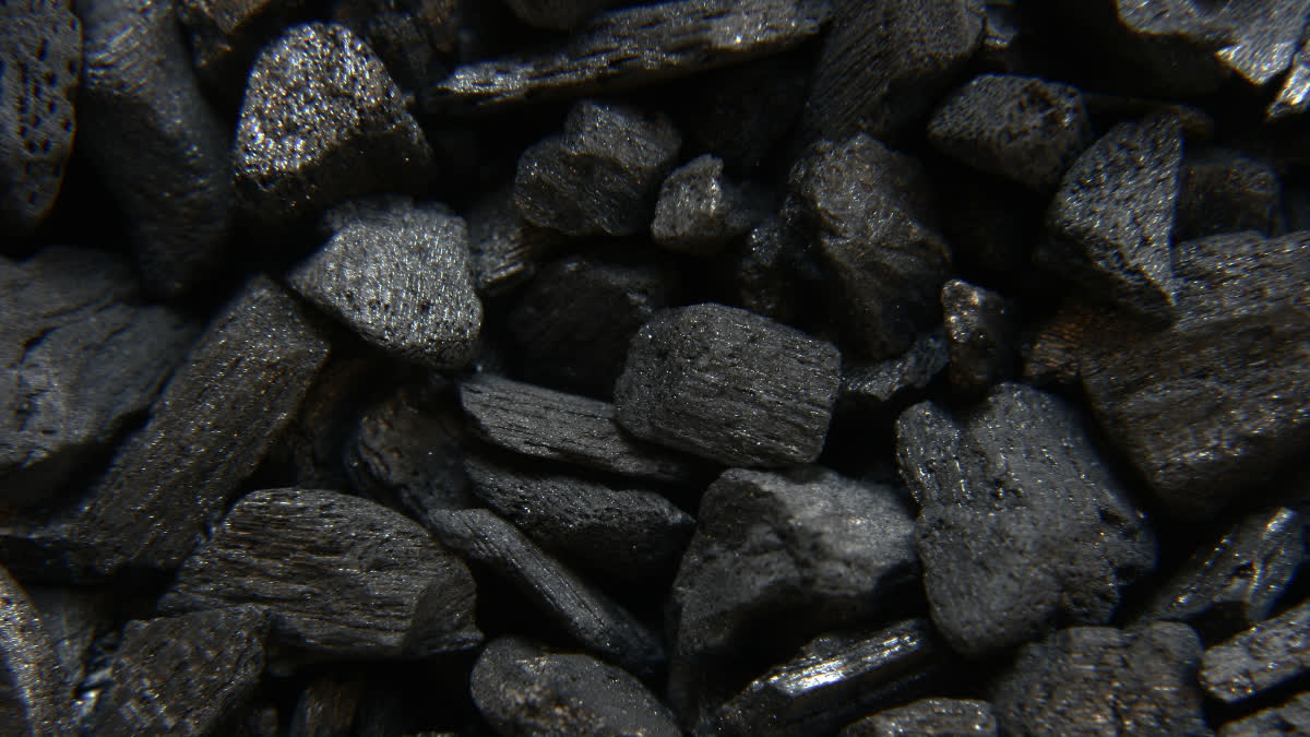 Carbon (File Photo)