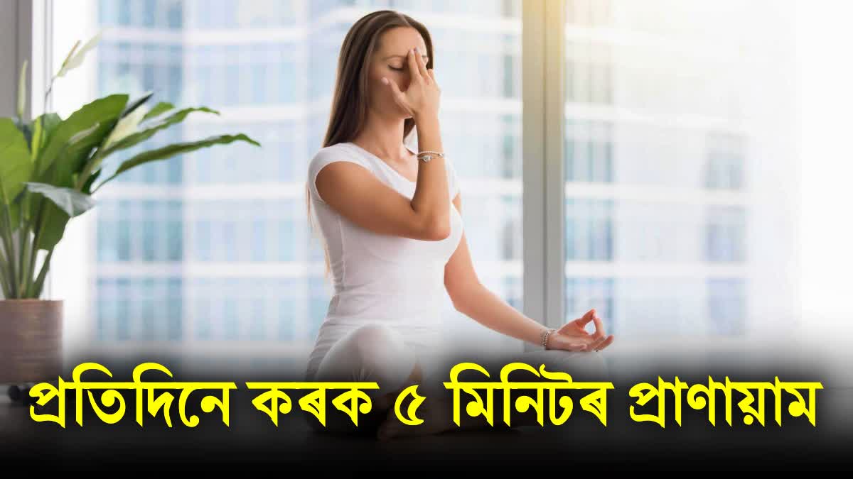 What are the 5 Health benefits of pranayama?