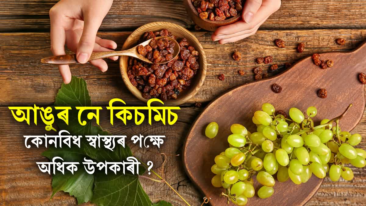 Grapes or raisins, know which of these two is more beneficial for health