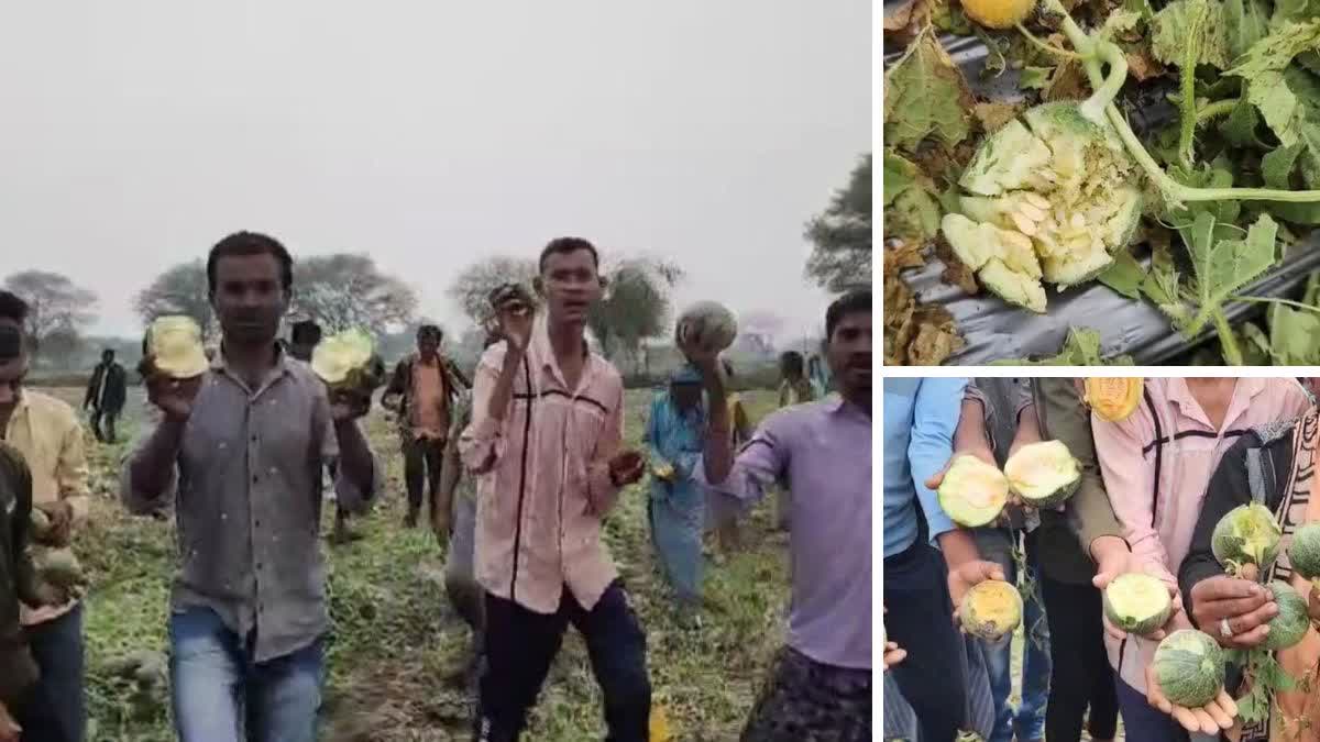 farmers in Bemetara