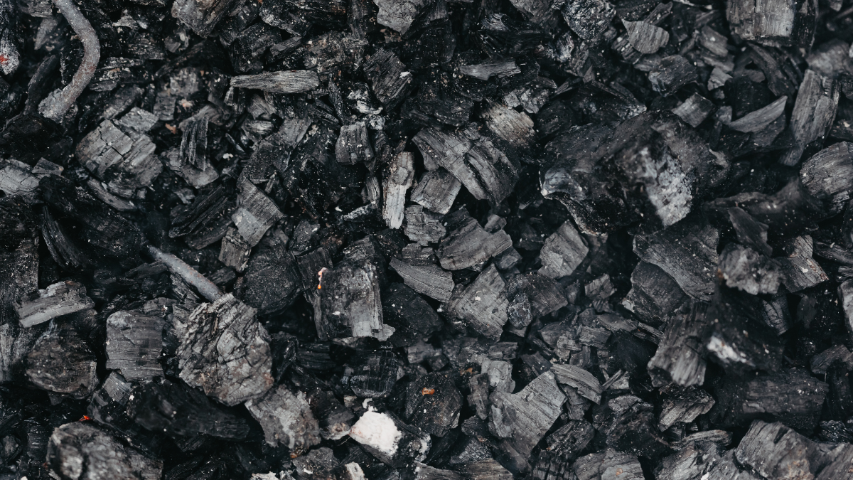 Carbon (File Photo)