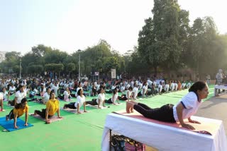 Organization of collective Surya Namaskar on Surya Saptami