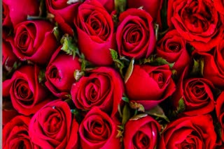 Karnataka exported nearly 3 crores roses to other states and foreign Countries
