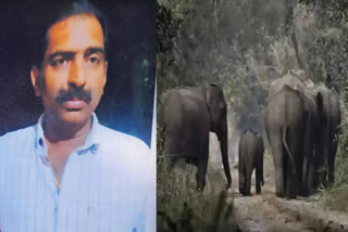 Wayanad wild elephant attack  forest department employee died  Mananthavady elephant attack  കാട്ടാനയുടെ ആക്രമണം  വനം വകുപ്പ് ജീവനക്കാരന്‍ മരിച്ചു