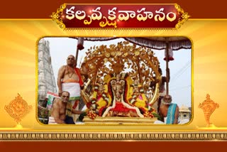 tirumala live