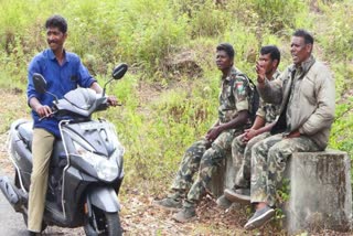 dimiss temporary watchers in munnar  forest department order  temporary watchers in munnar  മൂന്നാറിലെ താല്‍ക്കാലിക വാച്ചര്‍  വനംവകുപ്പ് ഉത്തരവ്