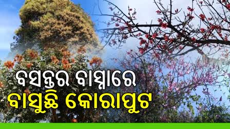 କୋରାପୁଟରେ ବସନ୍ତ ଋତୁ