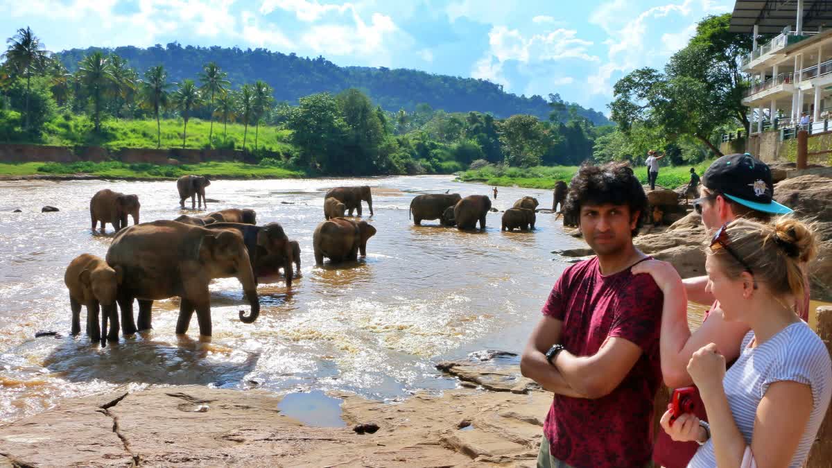 PINNAWALA ELEPHANT ORPHANAGE  SRILANKA ELEPHANT ORPHANAGE  SRILANKA TOURIST PLACE  എലിഫന്‍റ് ഓര്‍ഫനേജ് ശ്രീലങ്ക