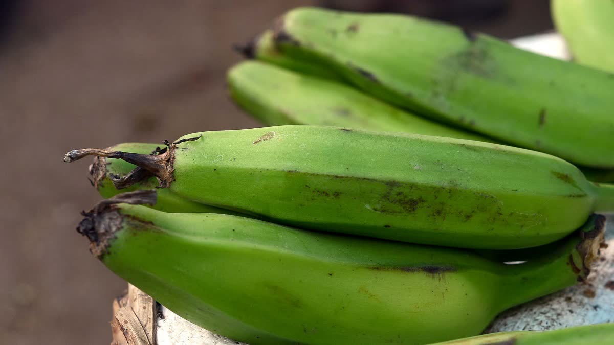 RAW BANANA BENEFITS