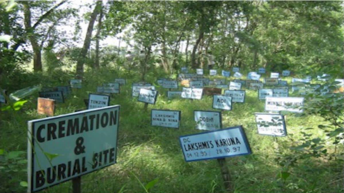 The grave of every dog has nameplates.