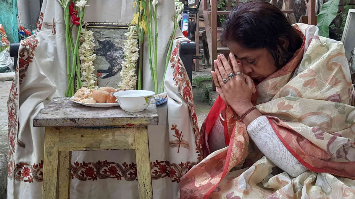 cat funeral in jalpaiguri