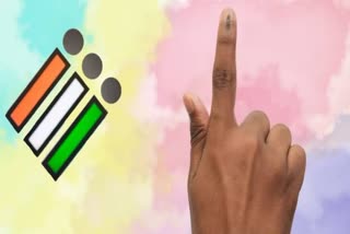 Haryana civic election 2025