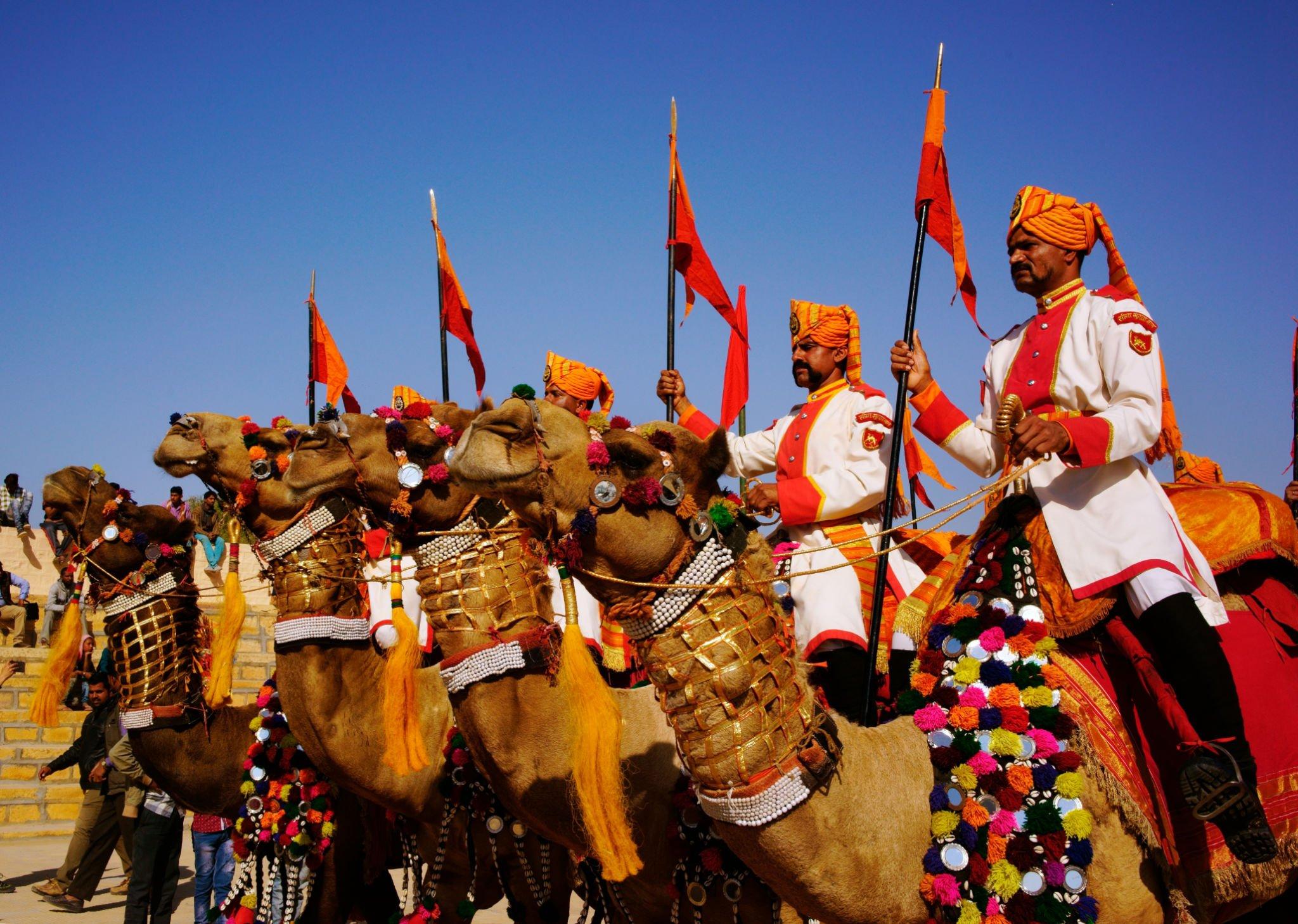 ऊंटों को विभिन्न प्रकार के रंगीन टैटू से सजाया गया