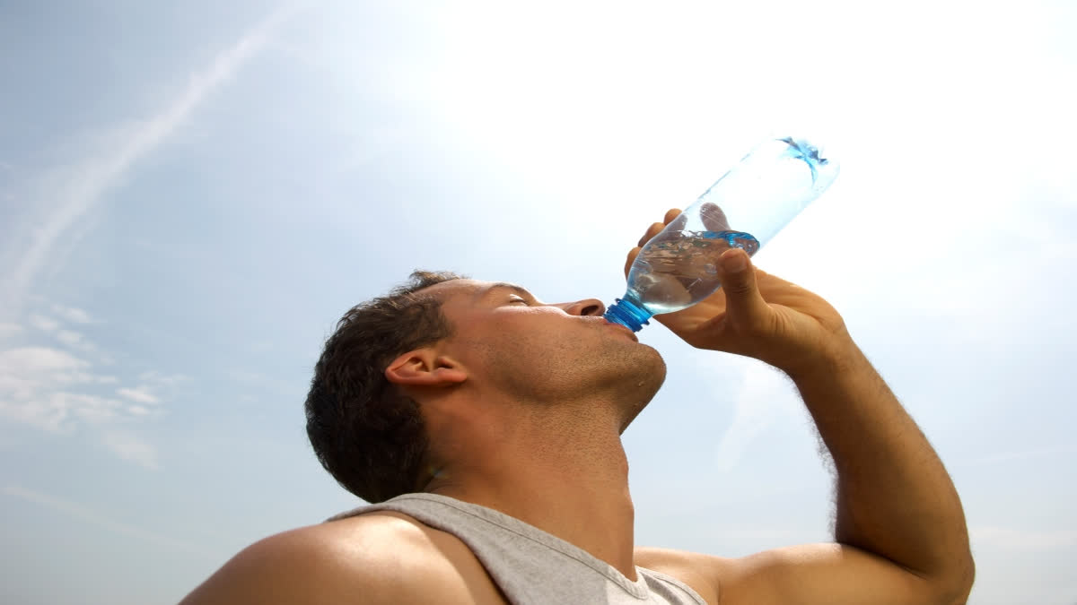 summer is here how much water you should drink every day