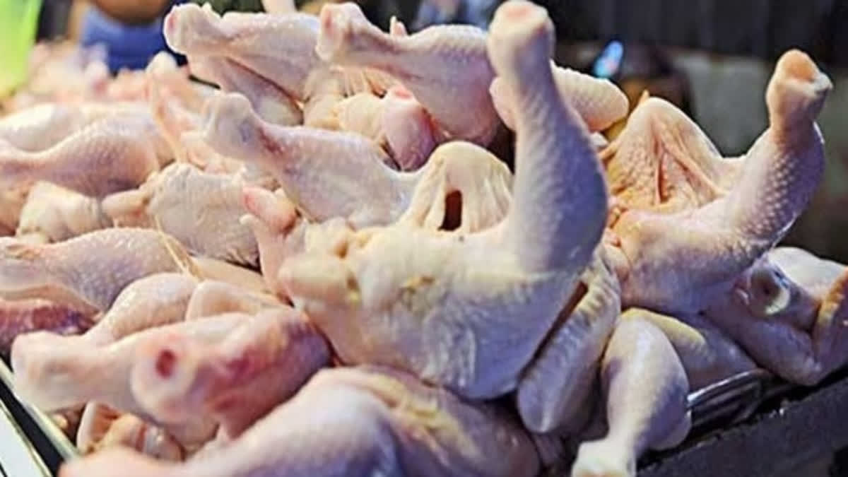 Poultry Import Concerns In Kashmir  Dressed Chickens In Kashmir  Kashmir Chicken Issues  Watermelon Concern In Kashmir