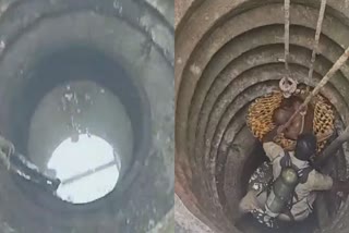 accident  man fell into the well  Pathanamthitta  Fire Force rescued