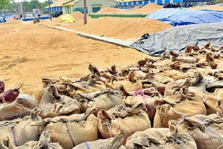 Telangana Yasangi Grain Sales