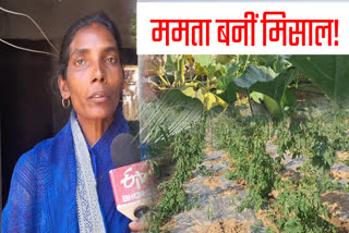 Mamta Devi set example for farmers by cultivation in dry areas of Palamu