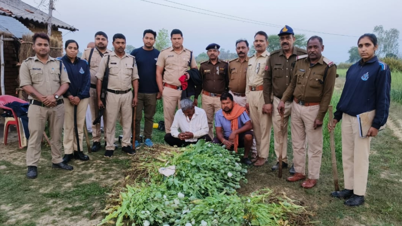 Rewa Opium Cultivation