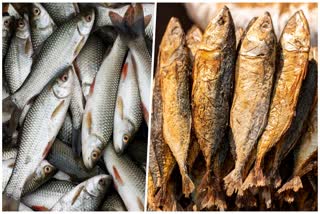 raw_fish_and_dry_fish