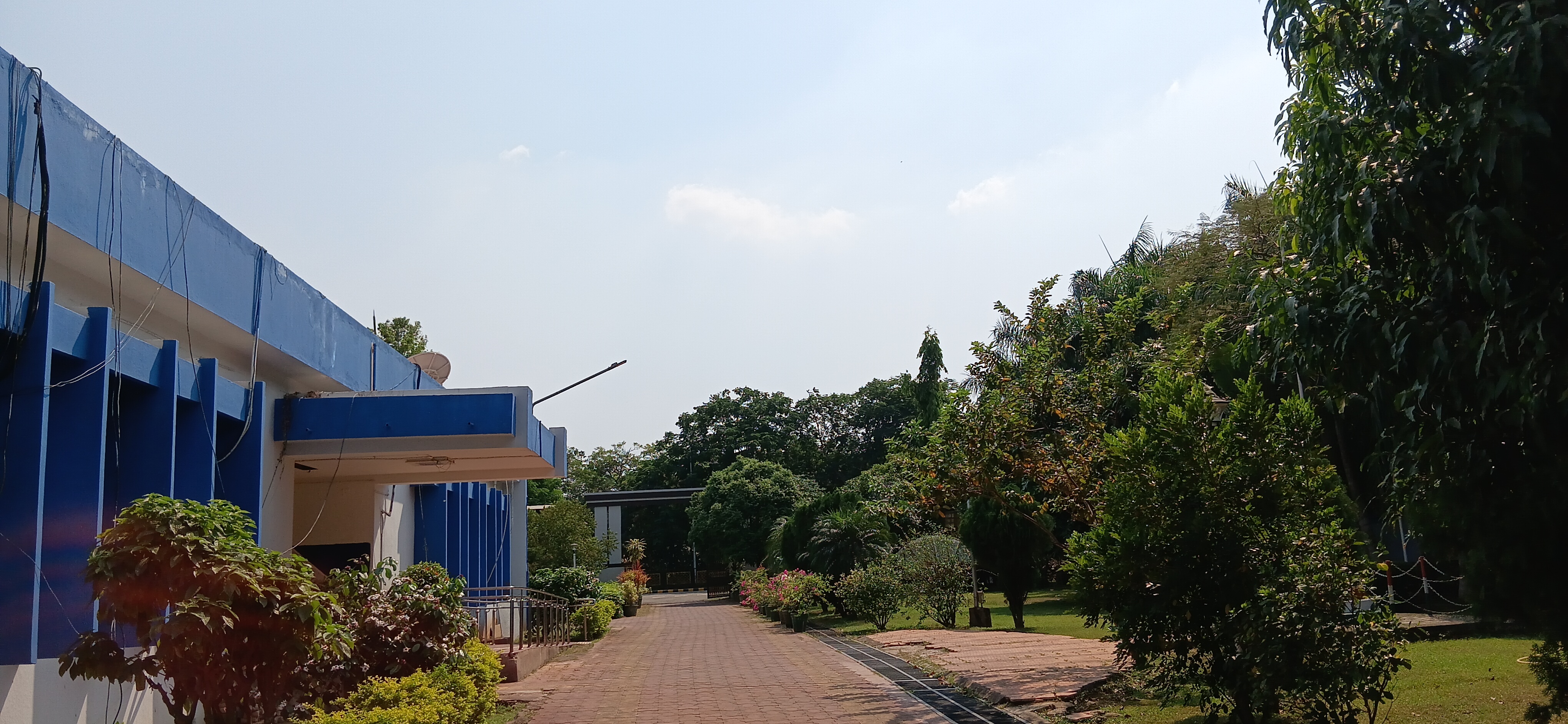 IMD Odisha weather